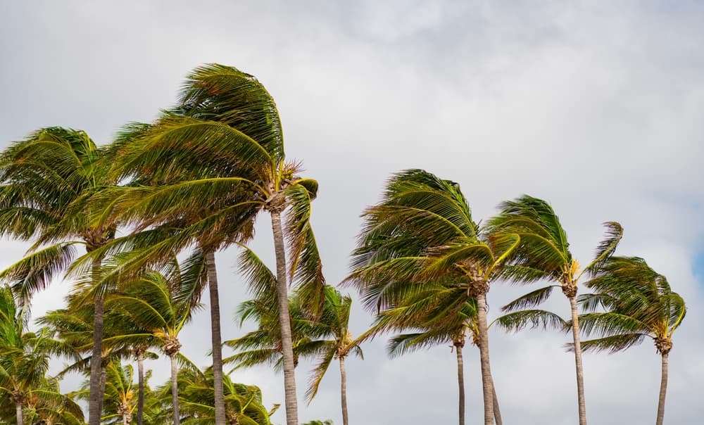 Coastal Commercial Real Estate Investors Face Growing Pressure to Quantify Hazard Risk