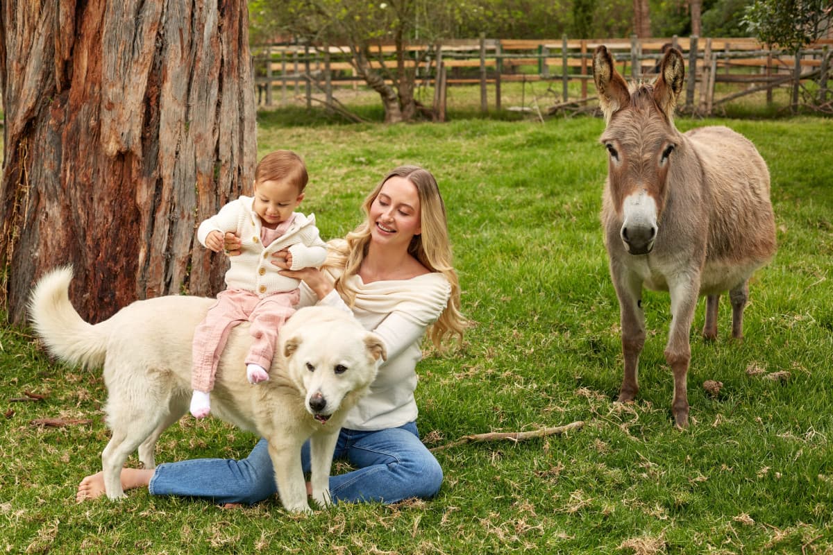 Search Atlas Founders Launch Permanent Animal Sanctuary in Colombia
