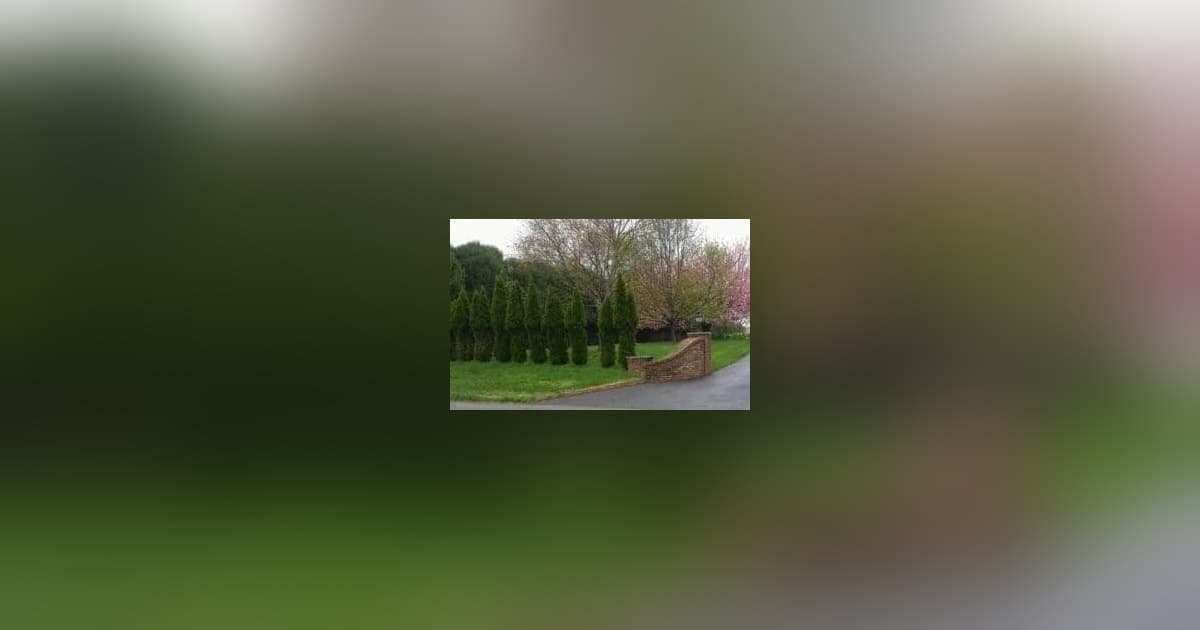 Deer Mating Season Spurs Warning for Middle Tennessee Homeowners