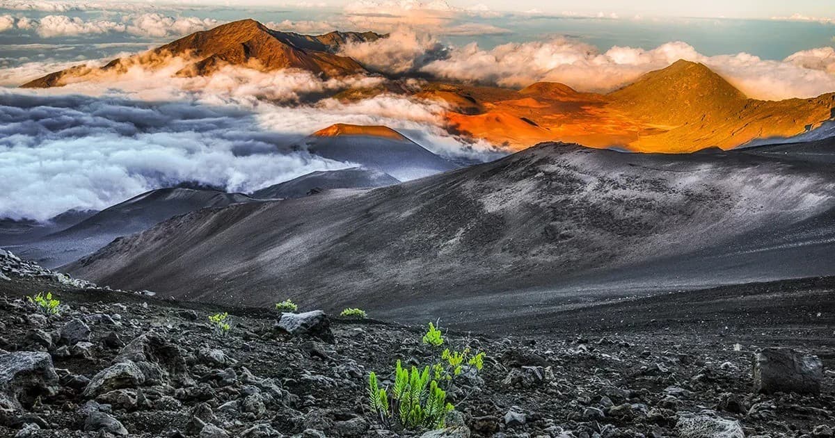 This Week Hawaii Marks 60th Anniversary with Expanded Hybrid Media Initiative