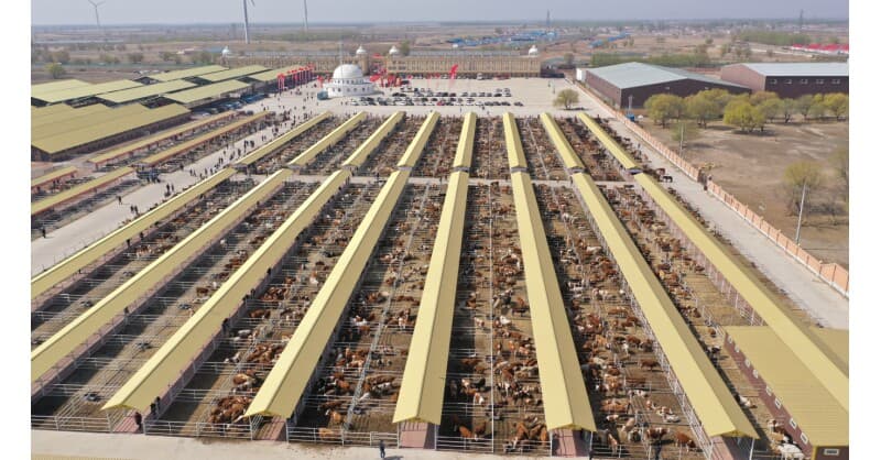 Hinggan League Unveils Agricultural, Cultural, and Tourism Consumption Carnival in Beijing, Showcasing Green Development Achievements