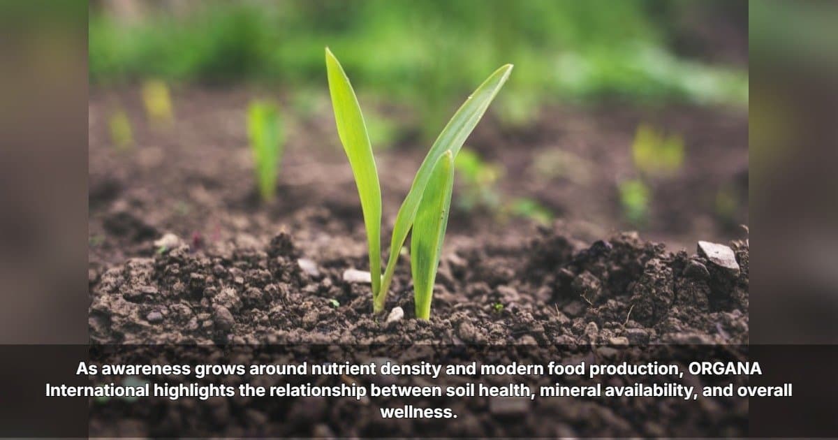 ORGANA International Highlights the Crucial Link Between Soil Health and Human Nutrition