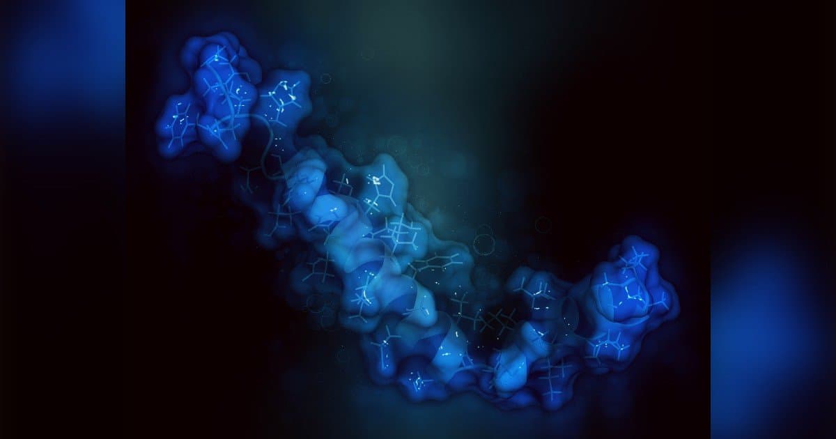 In Vitro ADME: A Comprehensive Approach to Drug Development
